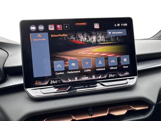 Cupra Terramar Gebrauchtwagen