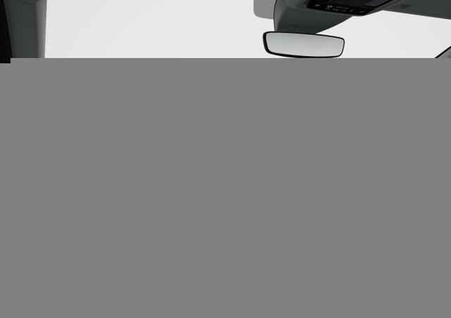 VW Golf Tageszulassung