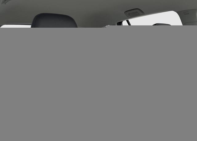 VW Golf Tageszulassung