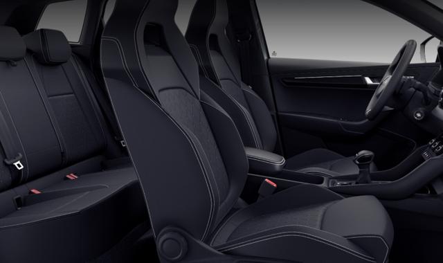 Skoda Karoq Tageszulassung