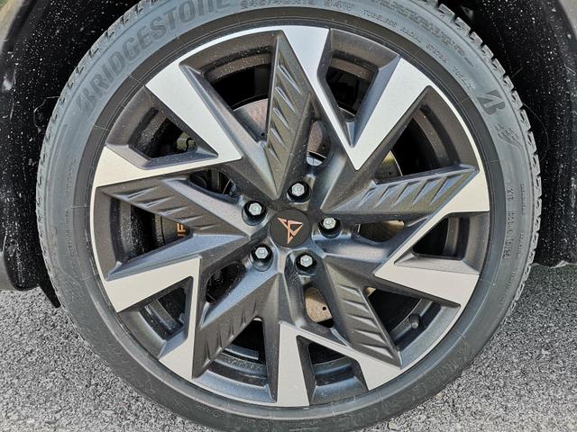 Cupra Formentor Tageszulassung