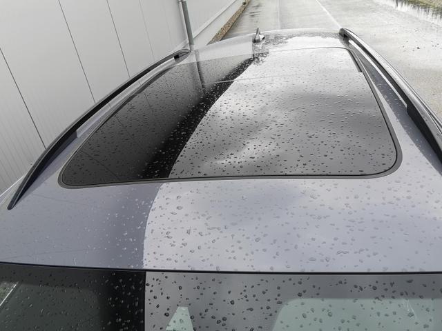 Cupra Formentor Tageszulassung