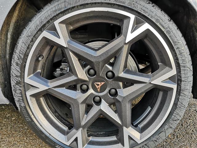 Cupra Leon Tageszulassung