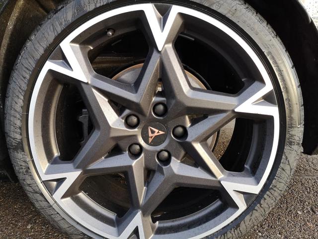 Cupra Leon Tageszulassung