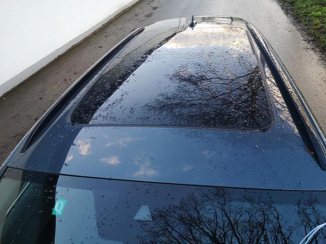 Cupra Leon Tageszulassung