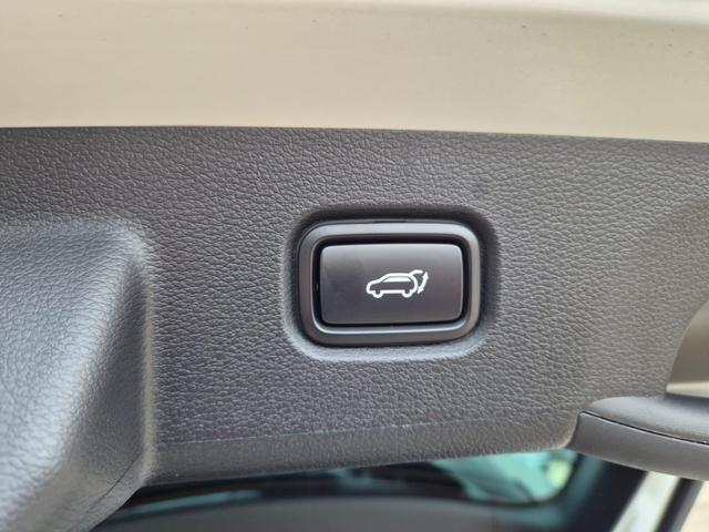 KIA Sportage Tageszulassung