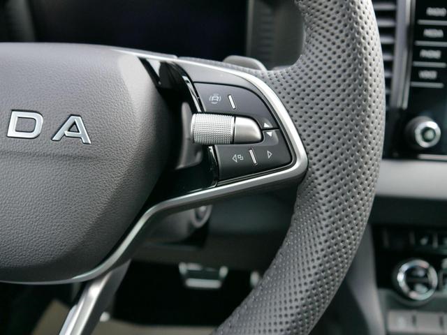 Skoda Karoq Tageszulassung