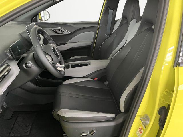 BYD Dolphin Gebrauchtwagen