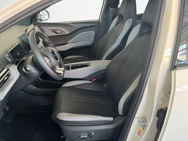 BYD Dolphin Gebrauchtwagen