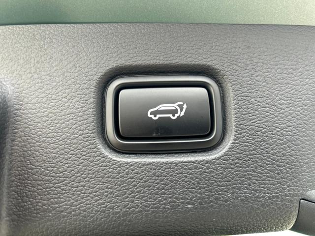 KIA Sportage Tageszulassung