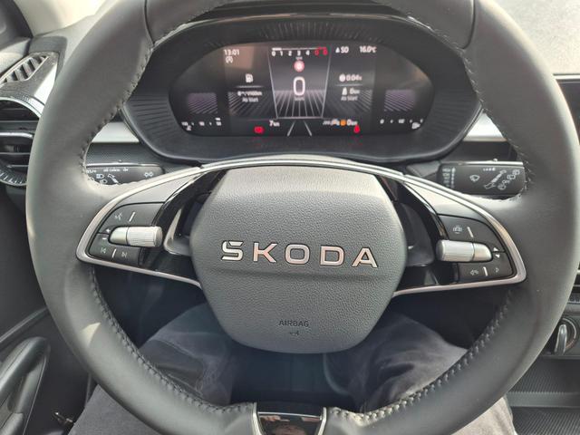 Skoda Fabia Tageszulassung