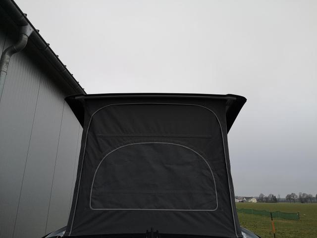 VW California Tageszulassung