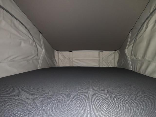 VW California Tageszulassung