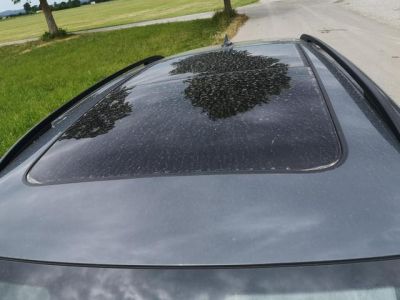 VW Tiguan Tageszulassung