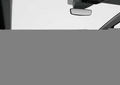 VW Golf Tageszulassung