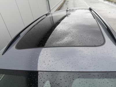 Cupra Formentor Tageszulassung