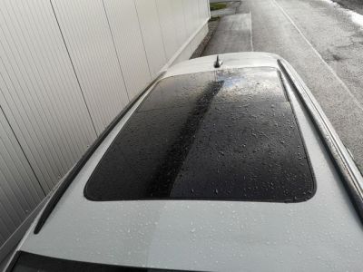 Cupra Leon Tageszulassung