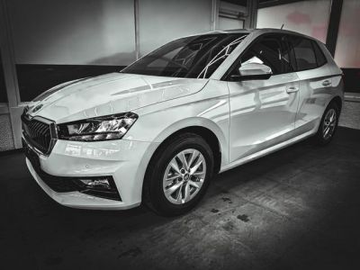 Skoda Fabia Gebrauchtwagen