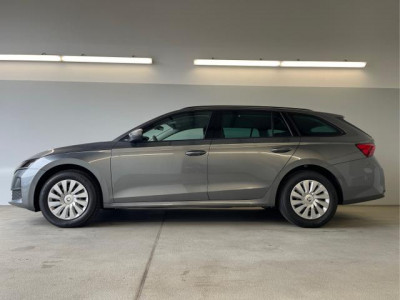 Skoda Octavia Neuwagen