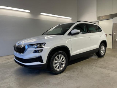 Skoda Karoq Neuwagen