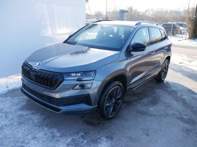 Skoda Karoq Tageszulassung