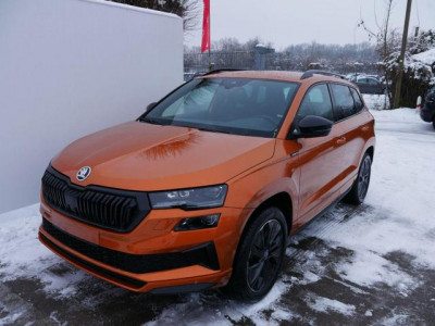 Skoda Karoq Tageszulassung