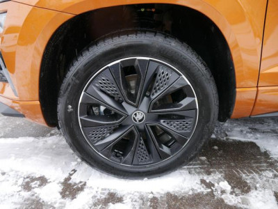 Skoda Karoq Tageszulassung