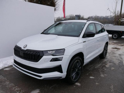 Skoda Karoq Tageszulassung