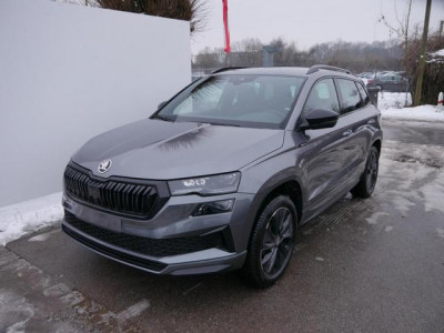 Skoda Karoq Tageszulassung
