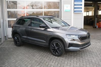 Skoda Karoq Gebrauchtwagen Skoda Karoq Gebrauchtwagen