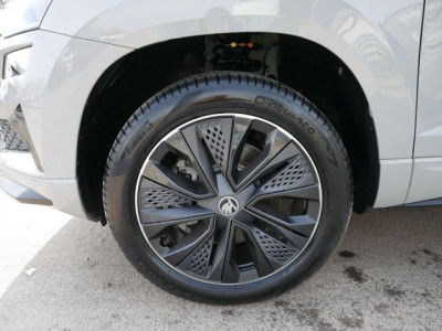 Skoda Karoq Tageszulassung