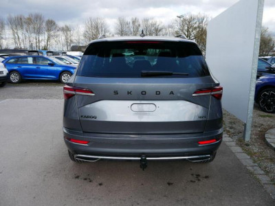 Skoda Karoq Tageszulassung