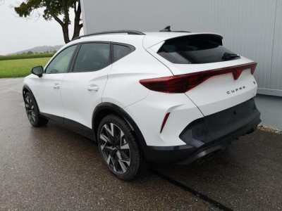 Cupra Formentor Tageszulassung