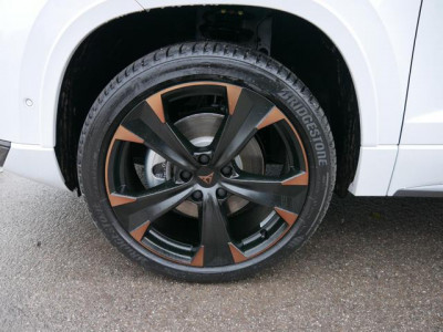 Cupra Ateca Tageszulassung