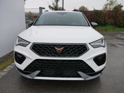 Cupra Ateca Tageszulassung