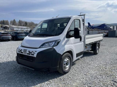 Fiat Ducato Tageszulassung