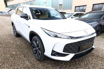 MG HS Tageszulassung