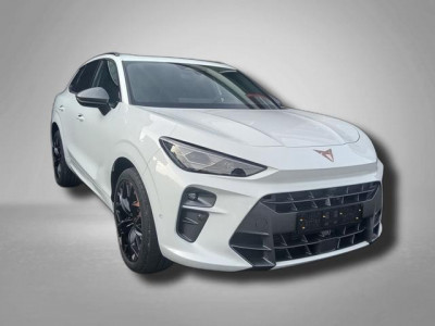 Cupra Terramar Gebrauchtwagen