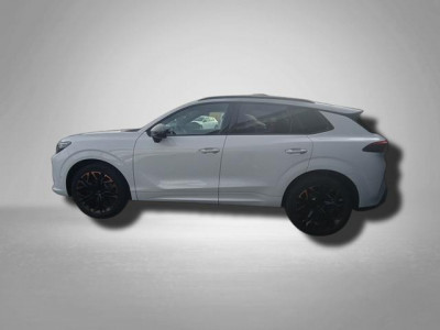 Cupra Terramar Gebrauchtwagen