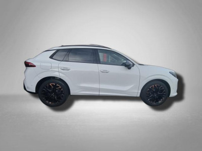 Cupra Terramar Gebrauchtwagen