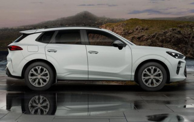 Cupra Terramar Tageszulassung