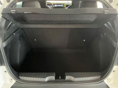 Fiat Grande Panda Gebrauchtwagen