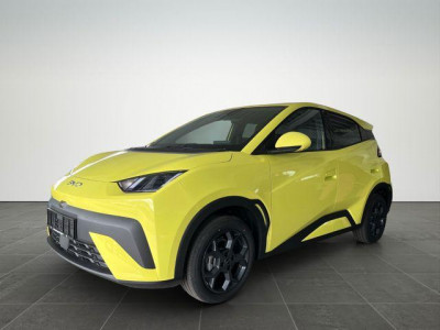 BYD Dolphin Gebrauchtwagen