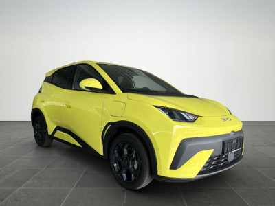 BYD Dolphin Gebrauchtwagen