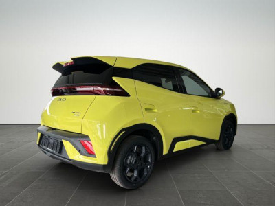 BYD Dolphin Gebrauchtwagen