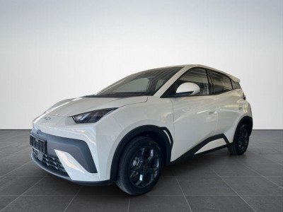 BYD Dolphin Gebrauchtwagen