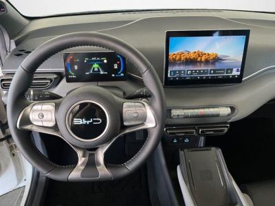 BYD Dolphin Gebrauchtwagen BYD Dolphin Gebrauchtwagen