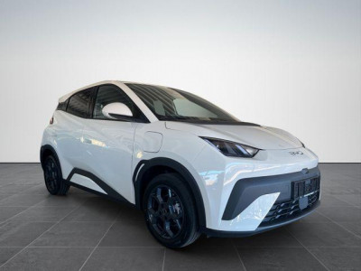 BYD Dolphin Gebrauchtwagen