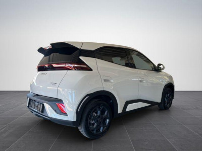 BYD Dolphin Gebrauchtwagen