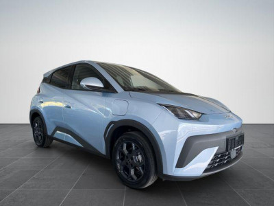 BYD Dolphin Gebrauchtwagen